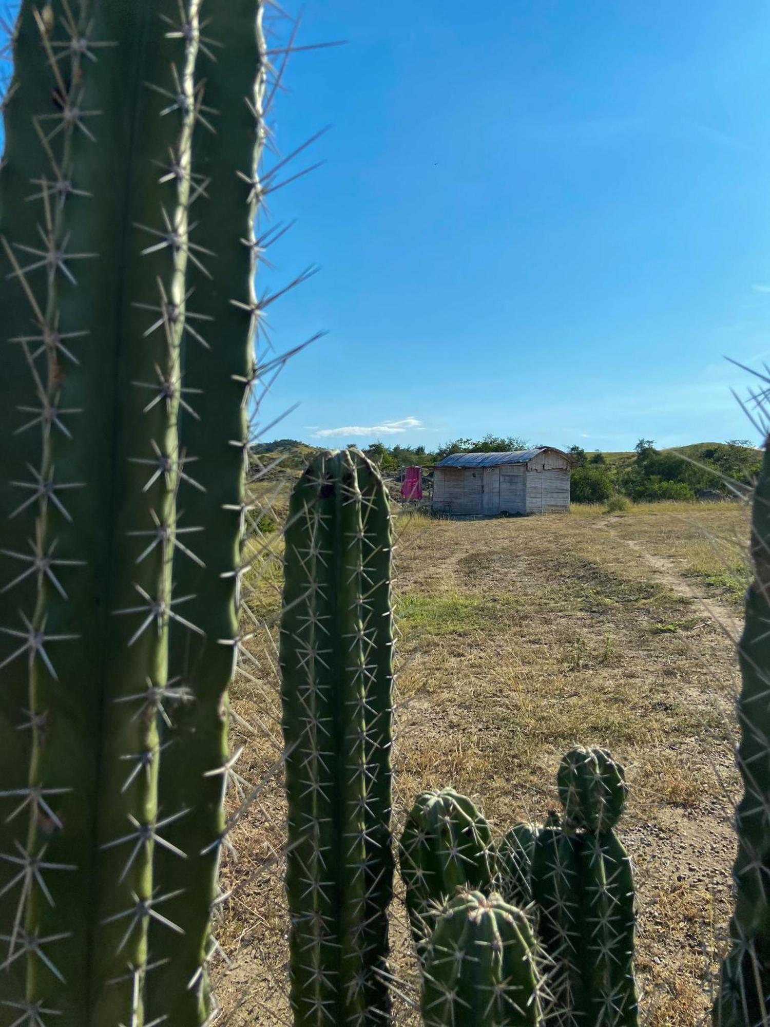 Biohotel Tatacoa Qji Villavieja Buitenkant foto